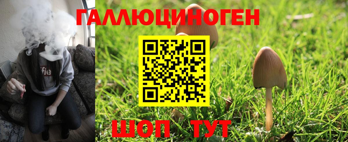 Галлюциногенные грибы Psilocybe  Вход с VPN  Верхняя Салда  Псилоцибиновые грибы мухоморы 