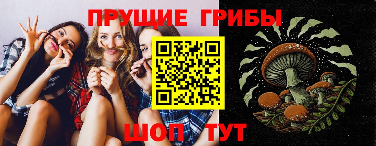 Псилоцибиновые грибы прущие грибы Верхняя Салда